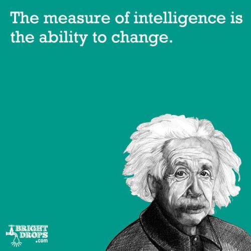 intelligence