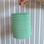 Farolillo, menta grande