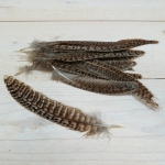 Plumas naturales, 24 uds